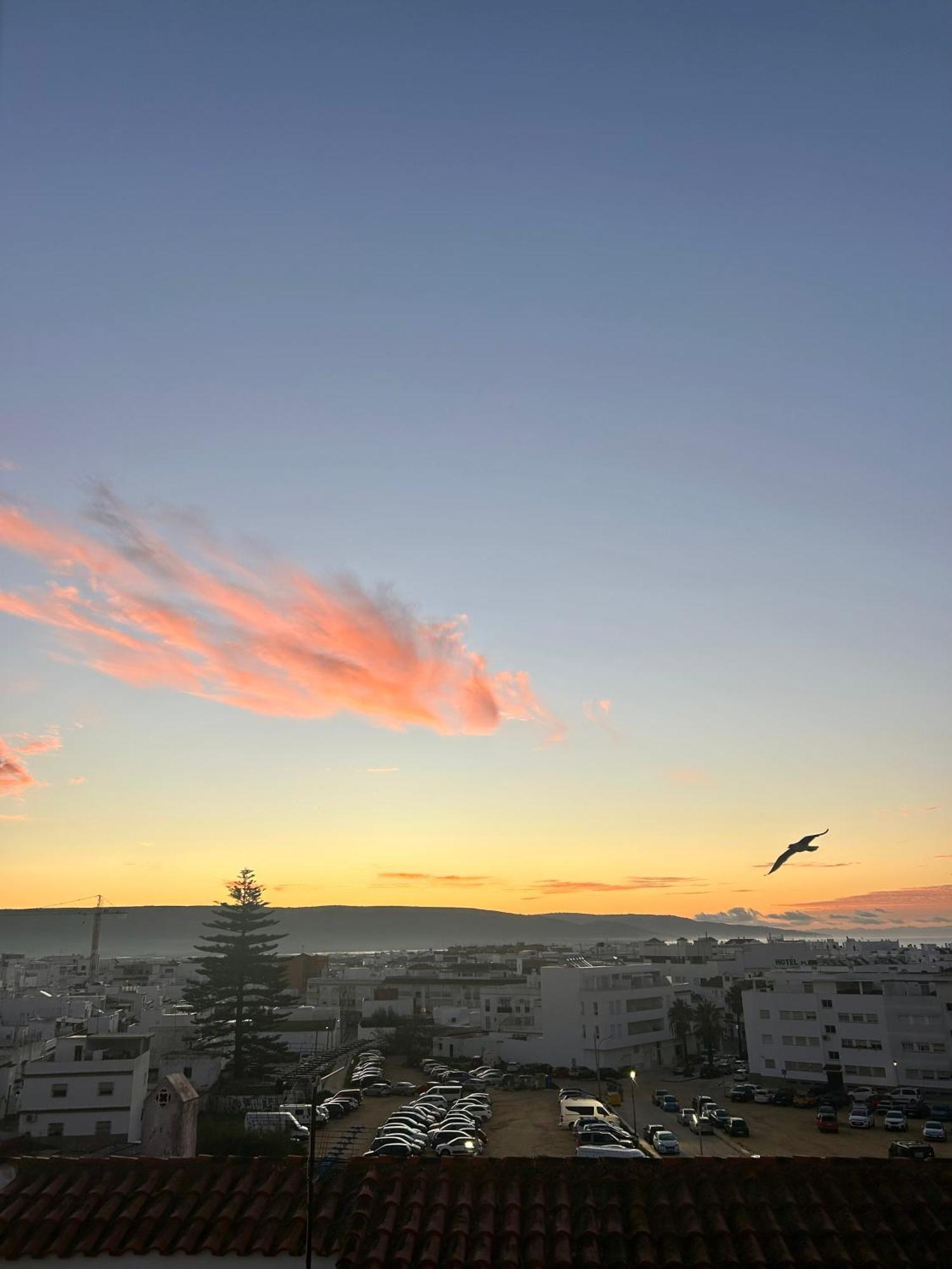Apartamento Avenida De La Mar Barbate Esterno foto